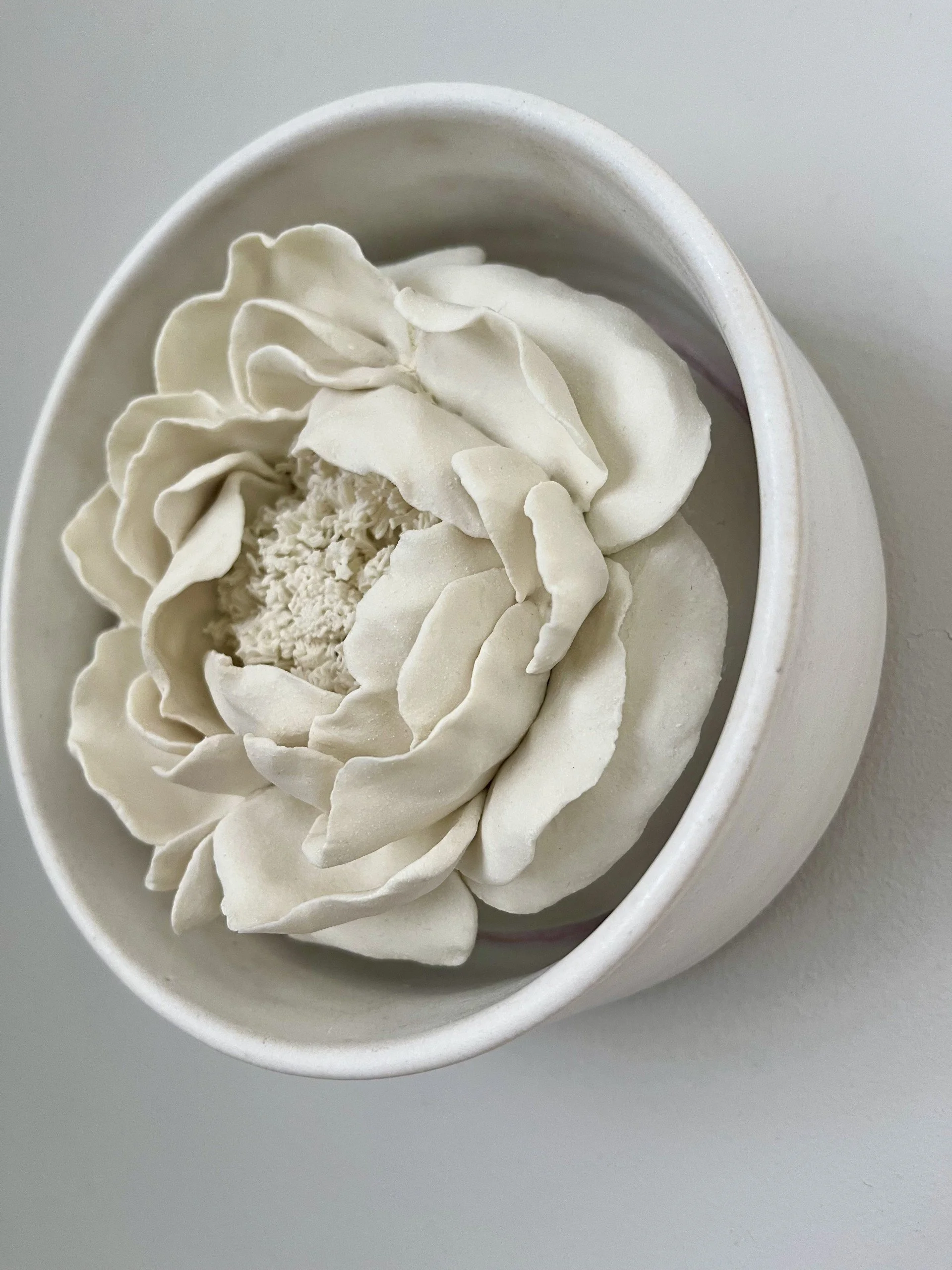 Kate Kelleher Sculptural Ceramics - Framed porcelain flower art